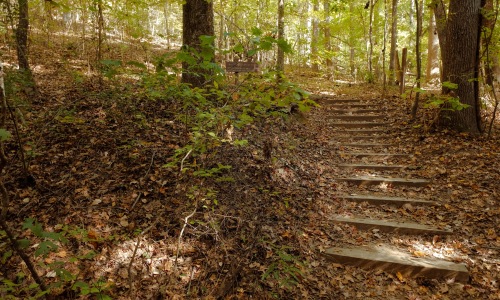 The Most Gorgeous Hiking Trails in Charlotte Cover Image