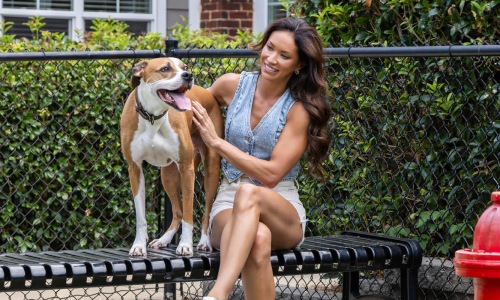 woman sits on a bench with her dog in bark park