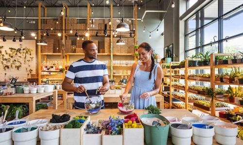 a couple making terrariums in a plant shop